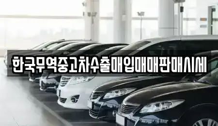 경남 양산시 명곡동 중고차 전문 한국무역중고차수출매입매매판매시세