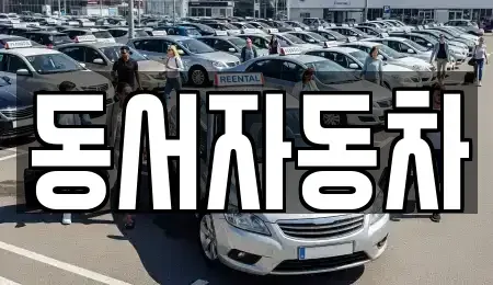 경남 진주시 칠암동 중고차 전문 동서자동차