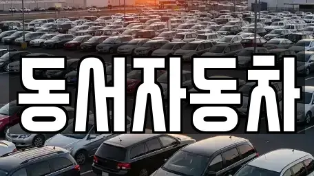 경남 진주시 판문동 중고차 전문 동서자동차