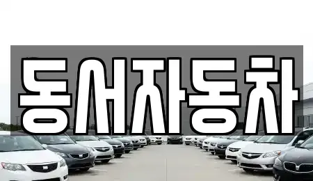 경남 창원시 마산합포구 상남동 중고차 전문 동서자동차