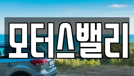 경남 창원시 마산합포구 상남동 중고차 전문 모터스밸리