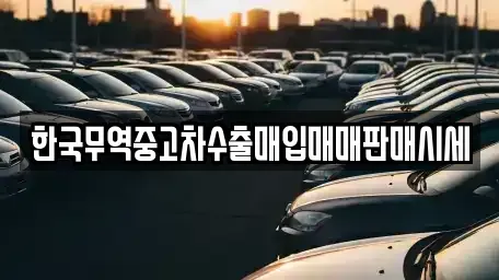 경남 창원시 마산합포구 상남동 중고차매입 전문 한국무역중고차수출매입매매판매시세