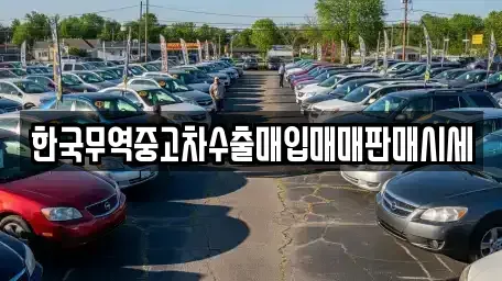 경남 창원시 마산합포구 성호동 중고차 전문 한국무역중고차수출매입매매판매시세