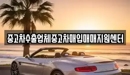 경남 창원시 의창구 명곡동 중고차 전문 중고차수출업체중고차매입매매지원센터
