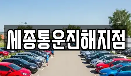 경남 창원시 진해구 성내동 렌트카 전문 세종통운진해지점