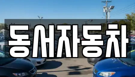 경남 통영시 당동 중고차 전문 동서자동차