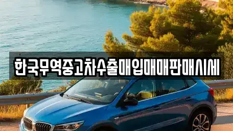 경남 함양군 병곡면 중고차 전문 한국무역중고차수출매입매매판매시세