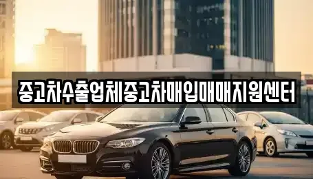 경남 함양군 병곡면 중고차매입 전문 중고차수출업체중고차매입매매지원센터