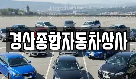 경북 경산시 압량읍 중고차 전문 경산종합자동차상사