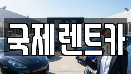 경북 구미시 거의동 렌트카 전문 국제렌트카