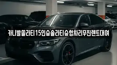 경북 구미시 원평동 렌트카 전문 카니발쏠라티15인승솔라티승합차리무진렌트대여