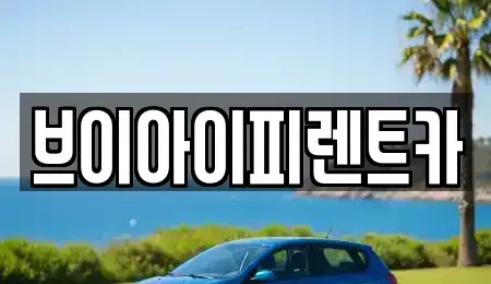 경북 구미시 원평동 장기렌트카 전문 브이아이피렌트카
