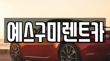 경북 구미시 임은동 렌트카 전문 예스구미렌트카