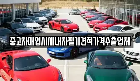경북 상주시 신봉동 중고차 전문 중고차매입시세내차팔기견적가격수출업체