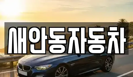 경북 안동시 서후면 중고차 전문 새안동자동차