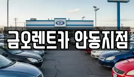 경북 안동시 송천동 렌트카 전문 금오렌트카 안동지점