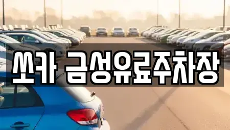 경북 안동시 율세동 렌트카 전문 쏘카 금성유료주차장