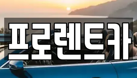 경북 안동시 화성동 렌트카 전문 프로렌트카