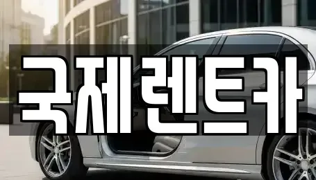경북 칠곡군 석적읍 렌트카 전문 국제렌트카