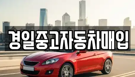 경북 칠곡군 석적읍 중고차매매,단기렌트카,중고차매입,장기렌트카,중고차,렌트카