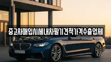 경북 칠곡군 석적읍 중고차매매 전문 중고차매입시세내차팔기견적가격수출업체