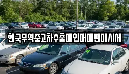 경북 포항시 북구 죽도동 중고차매입 전문 한국무역중고차수출매입매매판매시세