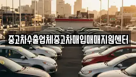 경북 포항시 북구 흥해읍 중고차매입 전문 중고차수출업체중고차매입매매지원센터