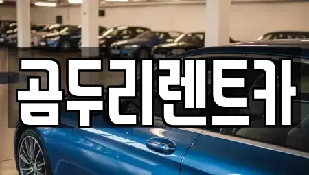 경상남도 거제시 수월동 렌트카 전문 곰두리렌트카