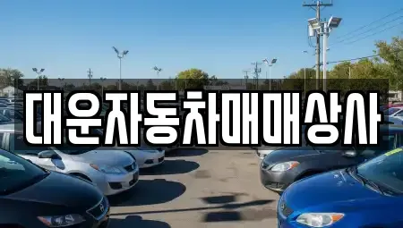 경상남도 거제시 수월동 중고차 전문 대운자동차매매상사