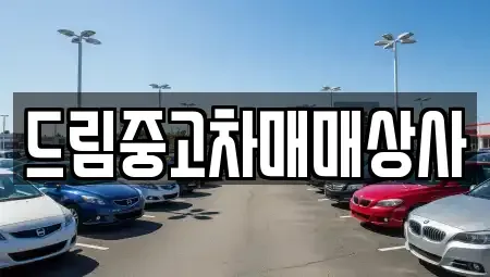 경상남도 거제시 수월동 중고차 전문 드림중고차매매상사