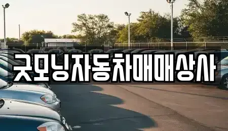 경상남도 고성군 거류면 중고차매매 전문 굿모닝자동차매매상사