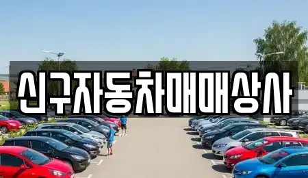 경상남도 고성군 거류면 중고차매매 전문 신구자동차매매상사