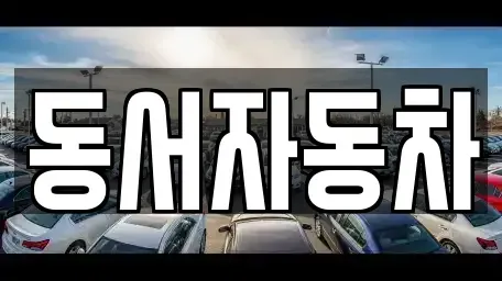 경상남도 고성군 상리면 중고차 전문 동서자동차