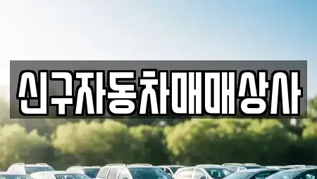 경상남도 고성군 영현면 중고차 전문 신구자동차매매상사