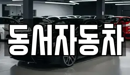 경상남도 고성군 영현면 중고차매매,단기렌트카,중고차매입,장기렌트카,중고차,렌트카
