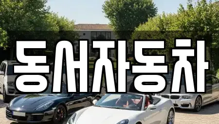 경상남도 사천시 사등동 중고차매매 전문 동서자동차