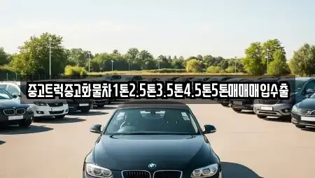 경상남도 사천시 사등동 중고차매매 전문 중고트럭중고화물차1톤2.5톤3.5톤4.5톤5톤매매매입수출