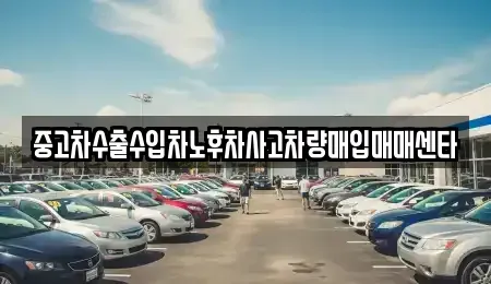 경상남도 사천시 사등동 중고차매입 전문 중고차수출수입차노후차사고차량매입매매센타