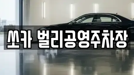 경상남도 사천시 향촌동 렌트카 전문 쏘카 벌리공영주차장