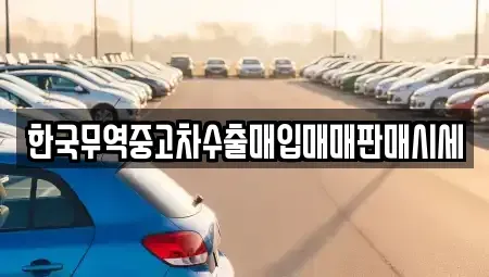 경상남도 사천시 향촌동 단기렌트카,중고차매입,중고차매매,중고차,렌트카,장기렌트카