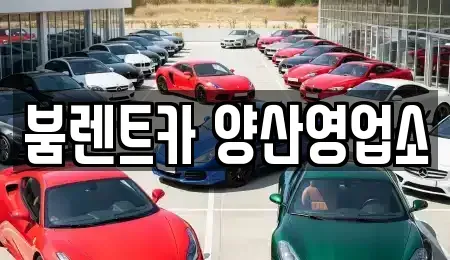 경상남도 양산시 렌트카 전문 붐렌트카 양산영업소