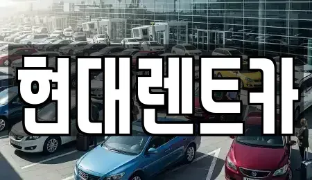 경상남도 양산시 삼호동 렌트카 전문 현대렌트카
