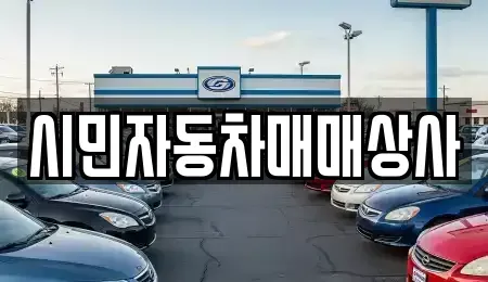 경상남도 양산시 삼호동 중고차 전문 시민자동차매매상사