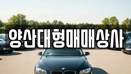 경상남도 양산시 중고차 전문 양산대형매매상사