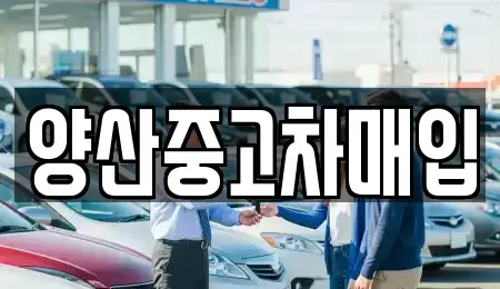 경상남도 양산시 중고차 전문 양산중고차매입