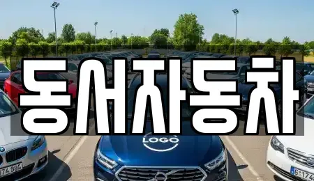 경상남도 창원시 마산합포구 덕동동 단기렌트카,중고차매입,중고차매매,중고차,렌트카,장기렌트카