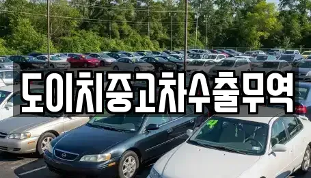 경상남도 창원시 마산합포구 서성동 중고차 전문 도이치중고차수출무역