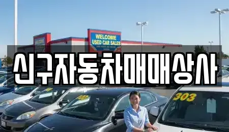 경상남도 창원시 마산합포구 장군동1가 중고차매매 전문 신구자동차매매상사