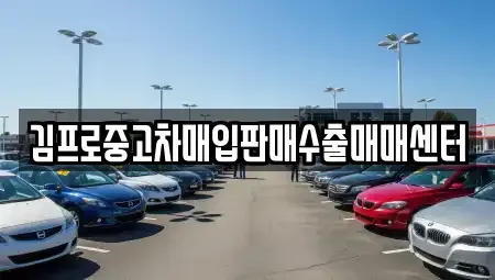 경상남도 창원시 마산합포구 장군동1가 중고차매입 전문 김프로중고차매입판매수출매매센터