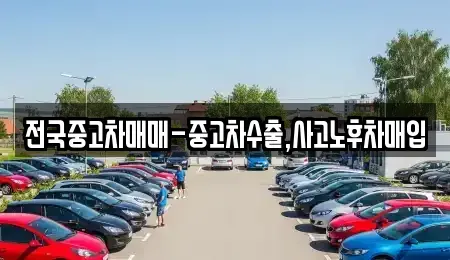 경상남도 창원시 마산합포구 중앙동1가 중고차 전문 전국중고차매매-중고차수출,사고노후차매입